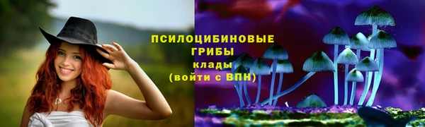 мескалин Михайлов