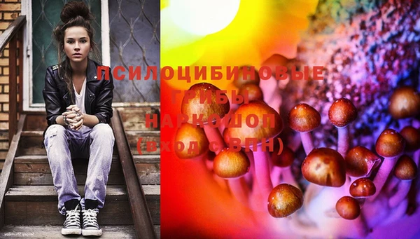 мескалин Михайлов