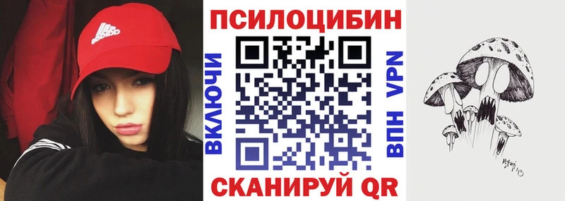 ссылка на мегу маркетплейс  Раменское  Галлюциногенные грибы Cubensis  закладки 