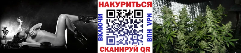 Бошки Шишки сатива  Раменское 